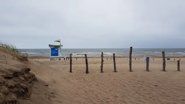 Foto de Cariló, Costa Atlántica argentina