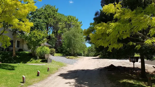 Foto de Cariló, Costa Atlántica argentina