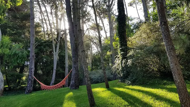 Foto de Cariló, Costa Atlántica argentina