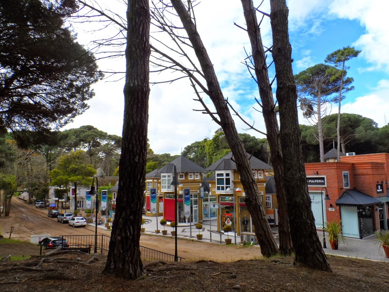 alquiler-en-carilo-enero-2022