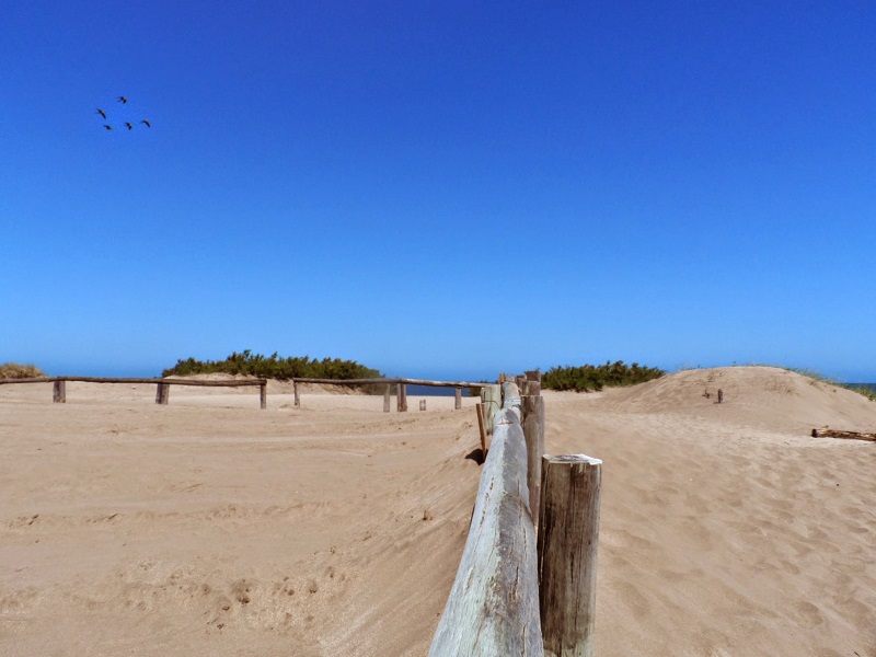 carilo-alquileres-enero-2022