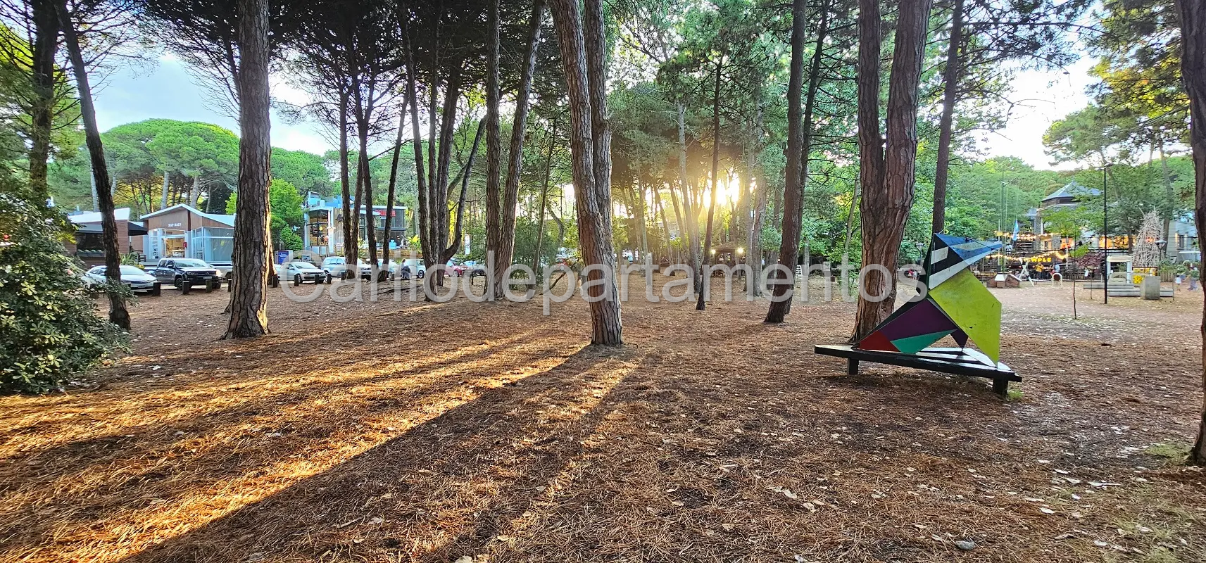 bosque de Cariló vacaciones de invierno