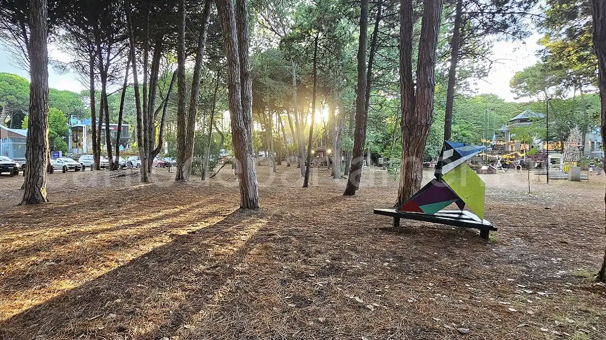 Bosque y centro comercial de Cariló para vacaciones de invierno 2026
