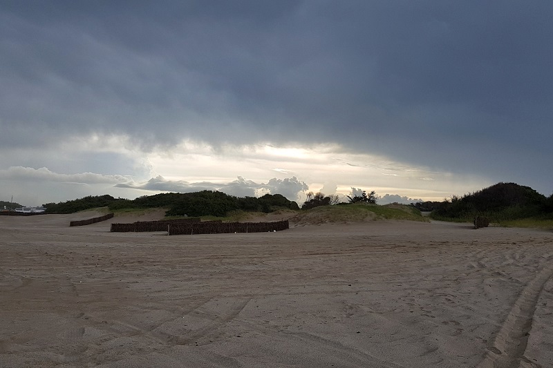 alquiler carilo febrero 2022